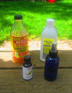 DIY Bug Spray - Creative Home Keeper