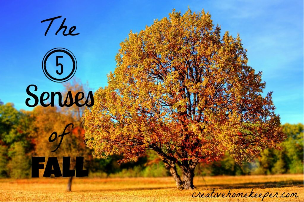 the-5-senses-of-fall-creative-home-keeper