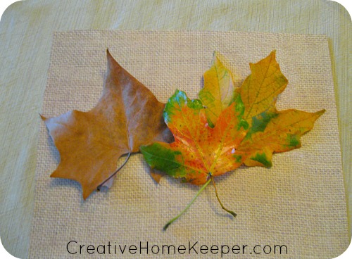 Easy DIY Pressed Leaves Wall Art: Preserving the season through pressed leaves is an easy way to add a little bit of fall around your home with this easy DIY pressed leaves wall art project. | CreativeHomeKeeper.com