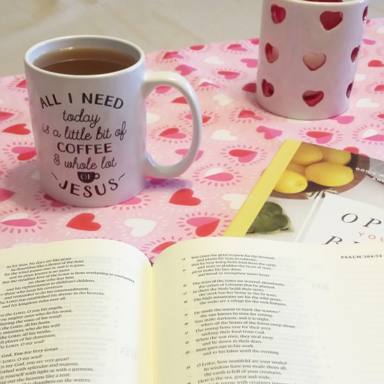 Feeling overwhelmed, frazzled, exhausted and weary? When we embrace a standard of grace and let go of perfection, amazing joy fill our hearts. Not even sure where to begin? Try these 4 grace-filled tips today! 