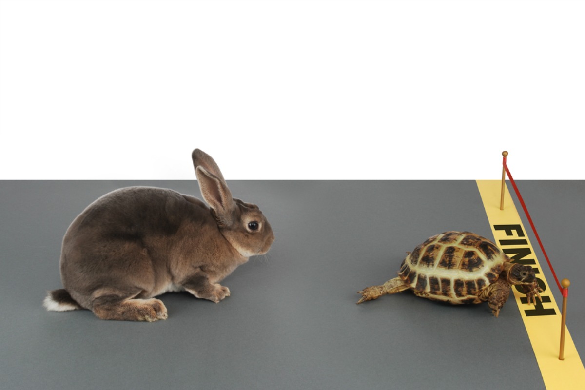 Do you feel like you've been left behind in the goal setting race? What if I told you it's not a marathon and that slow and steady actually DOES win the race? Don't be like the hare, embrace the tortoise mentality when it comes to creating and accomplishing your goals this year. 