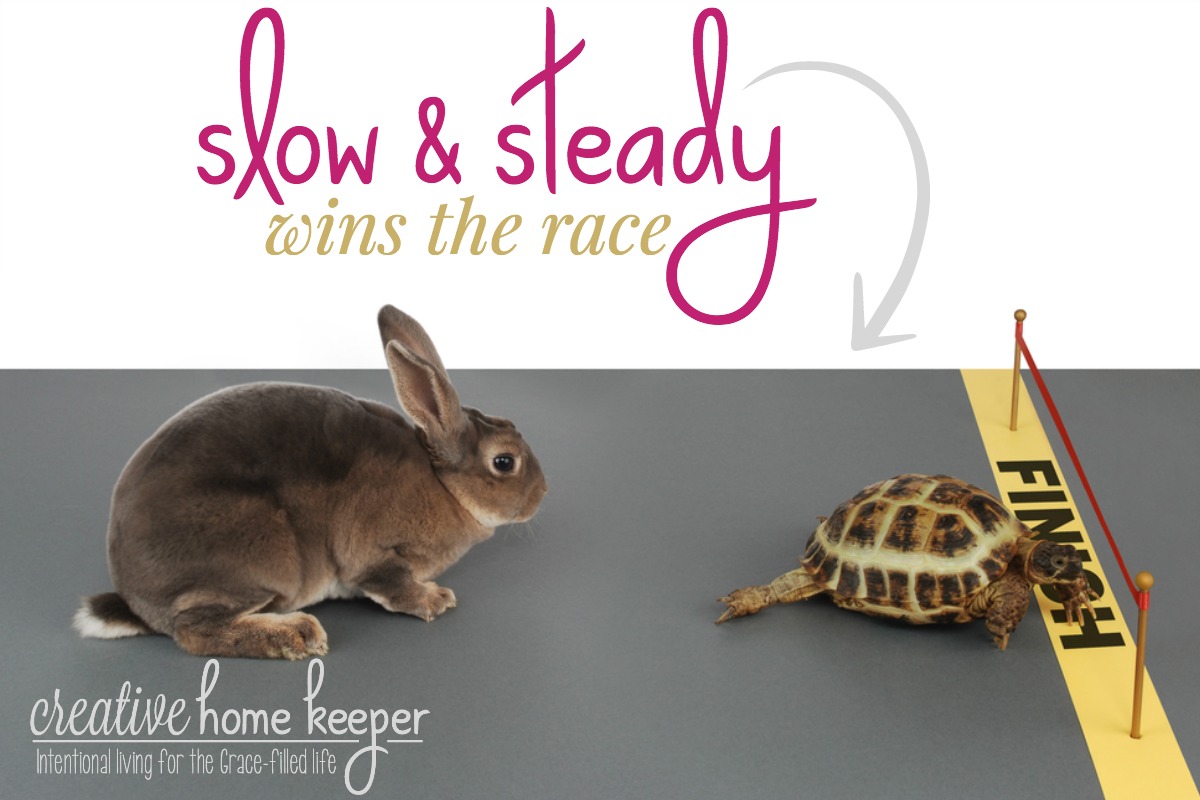 Do you feel like you've been left behind in the goal setting race? What if I told you it's not a marathon and that slow and steady actually DOES win the race? Don't be like the hare, embrace the tortoise mentality when it comes to creating and accomplishing your goals this year.